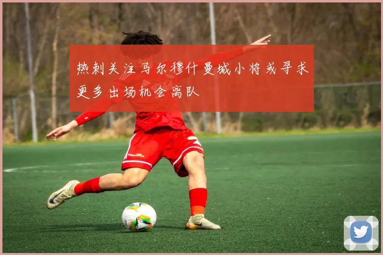 热刺关注马尔穆什曼城小将或寻求更多出场机会离队