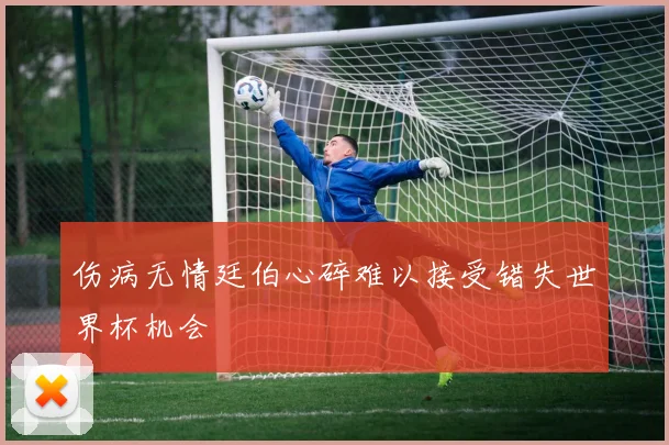 伤病无情廷伯心碎难以接受错失世界杯机会
